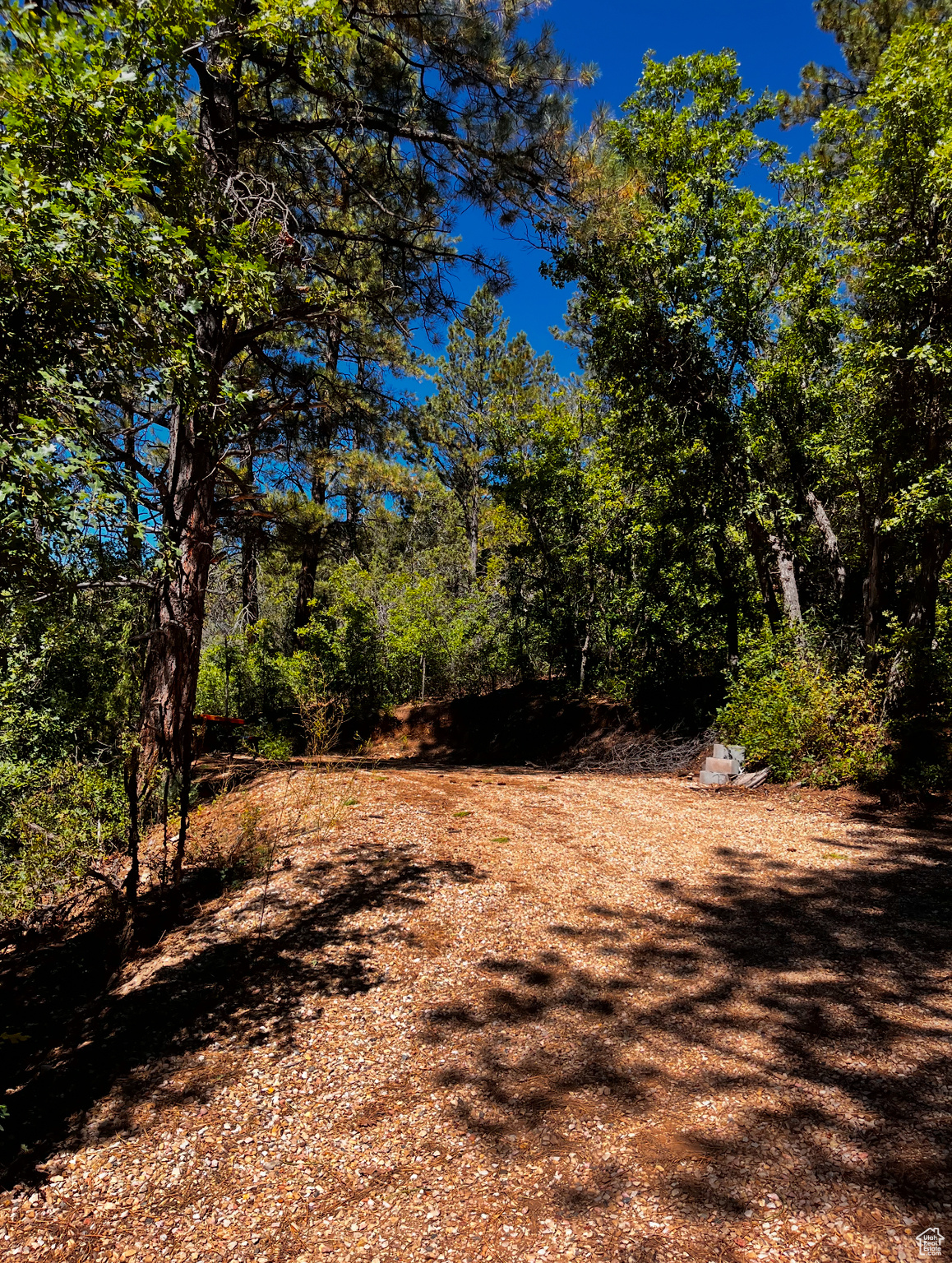 ALL OF LOT 2 BLOCK "F" AMENDED PLAT OF LITTLE POND - Land