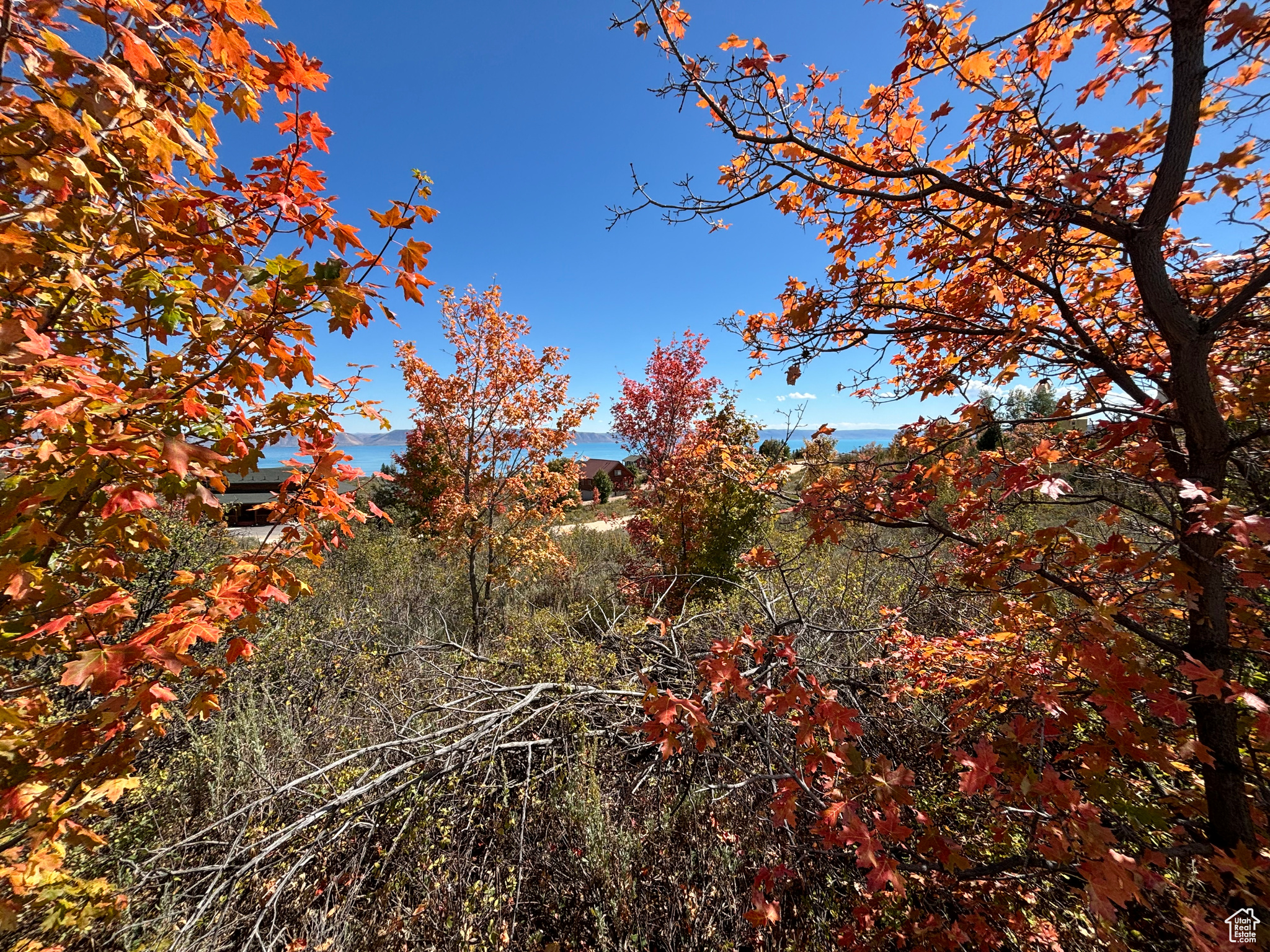 779 Hickock Dr #424, Fish Haven, Idaho image 9