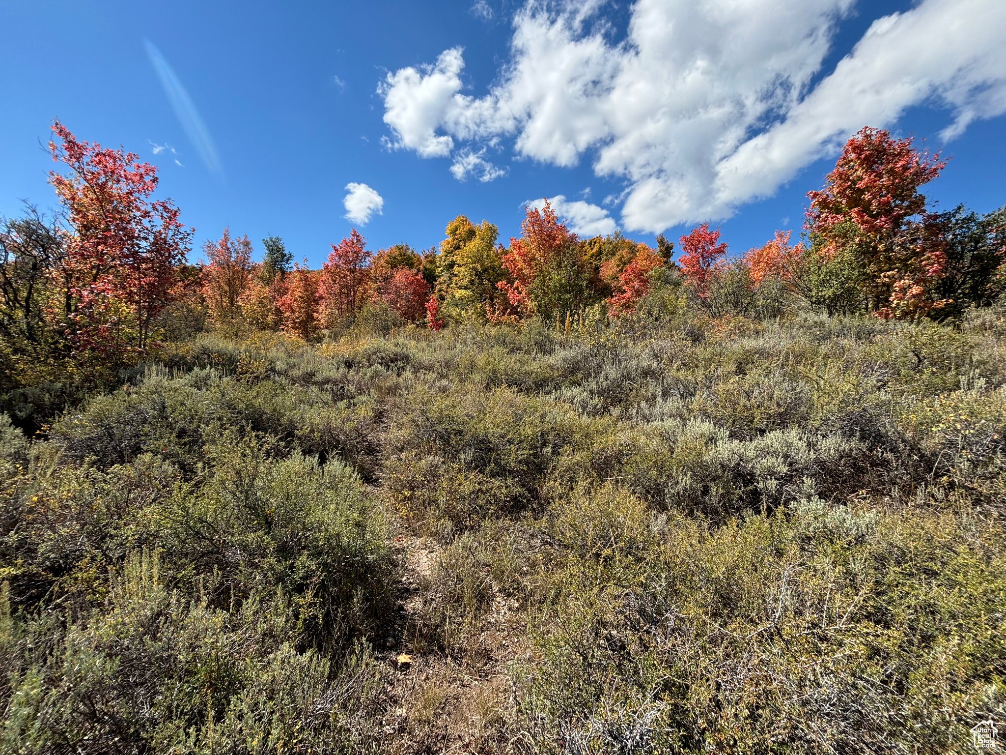 779 Hickock Dr #424, Fish Haven, Idaho image 3