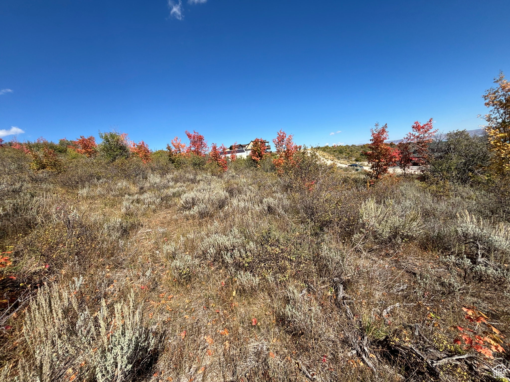 779 Hickock Dr #424, Fish Haven, Idaho image 5