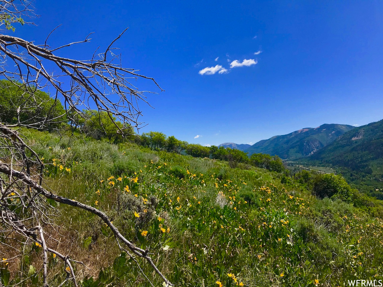 166 Canyon Rim, Oakley, Utah image 34