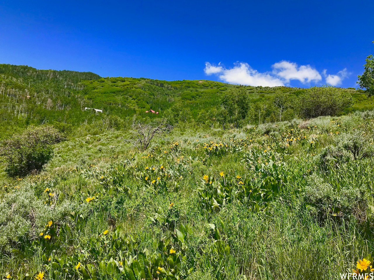 166 Canyon Rim, Oakley, Utah image 14