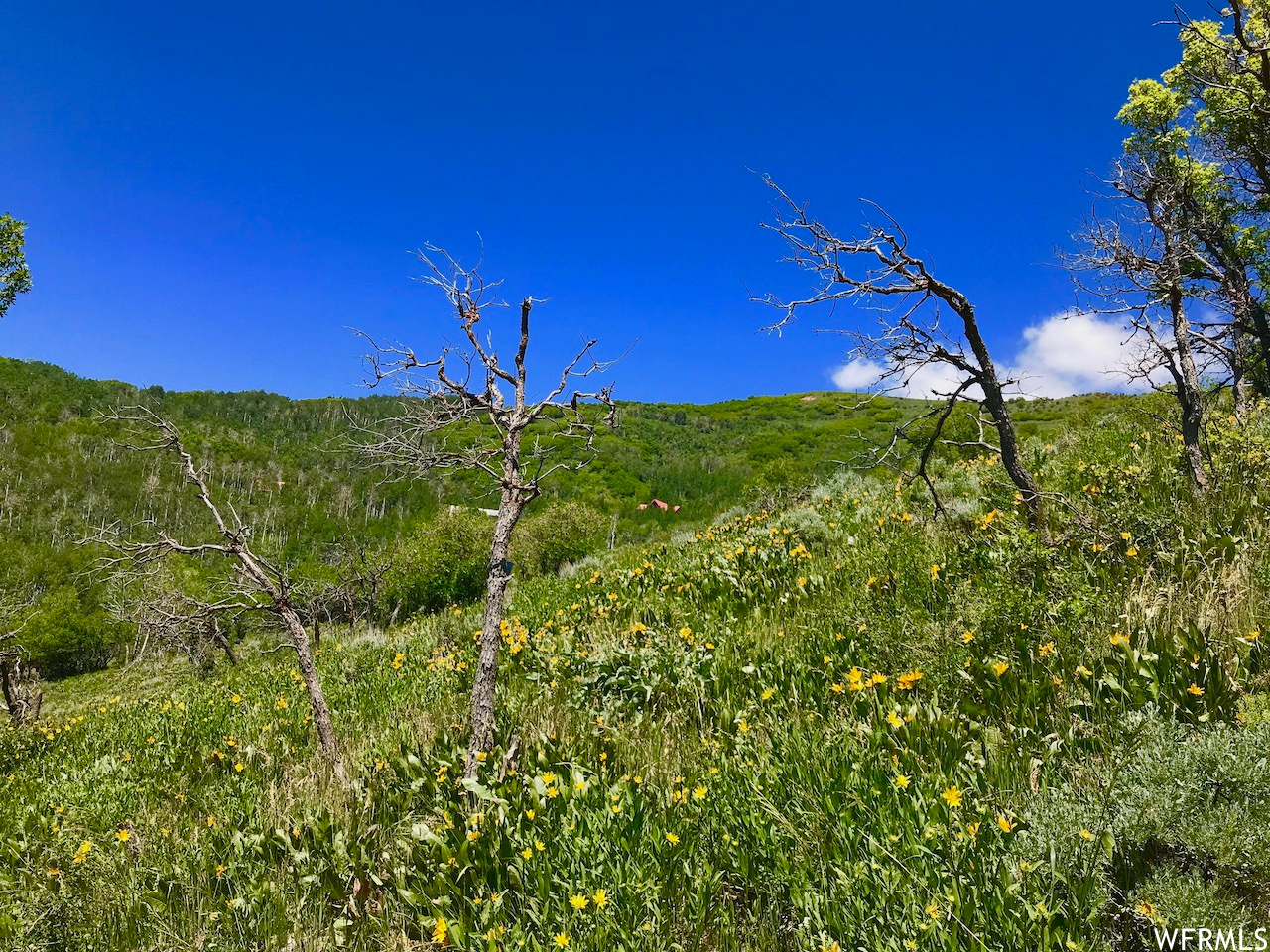 166 Canyon Rim, Oakley, Utah image 13