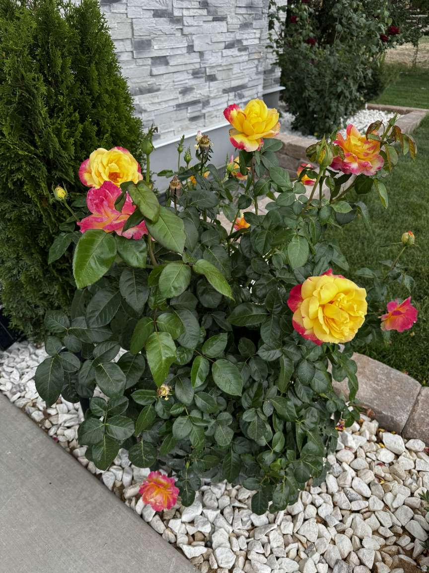 E HENDRICKSON AMENDED - Residential