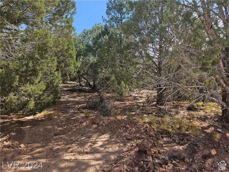 17964 W Granite Ln #7, Cedar City, Utah image 12