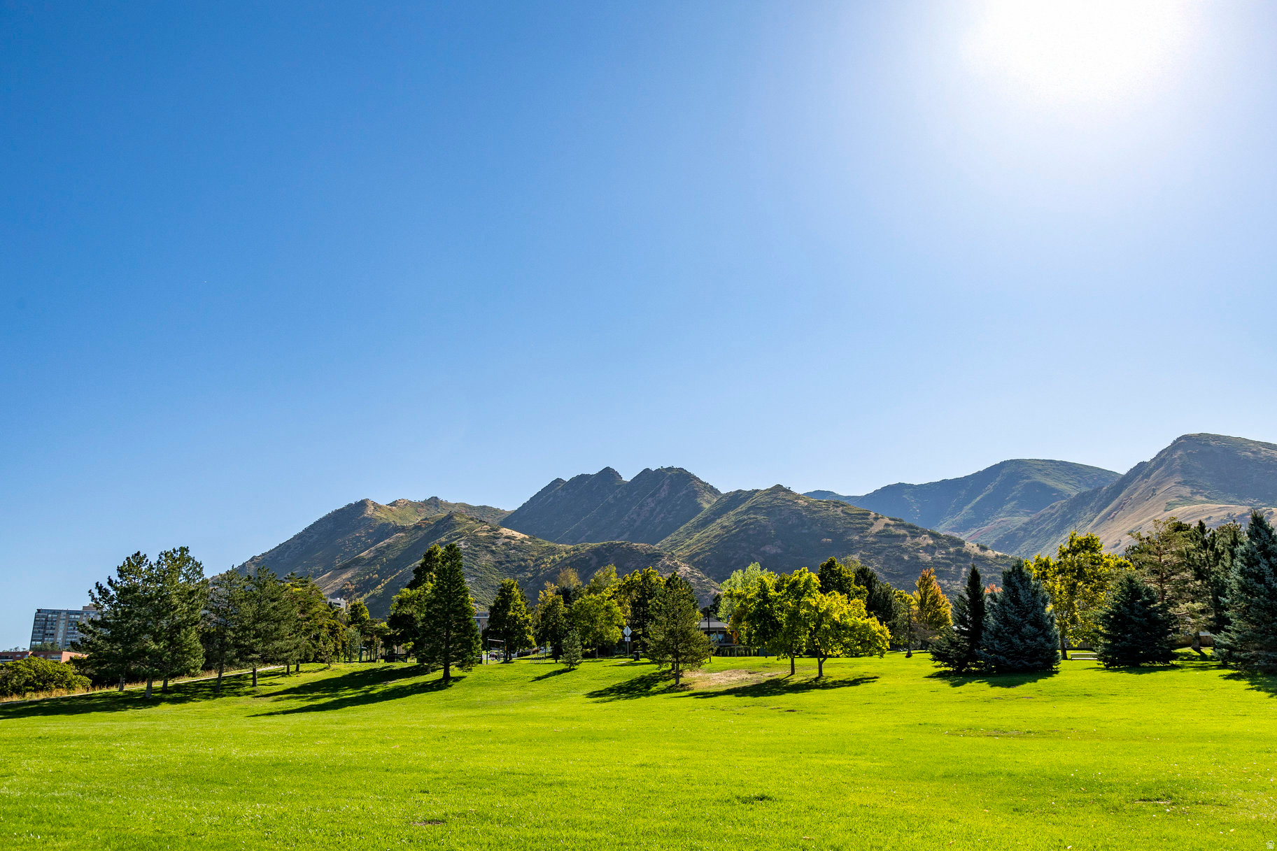 OAKWOOD GARDENS - Residential