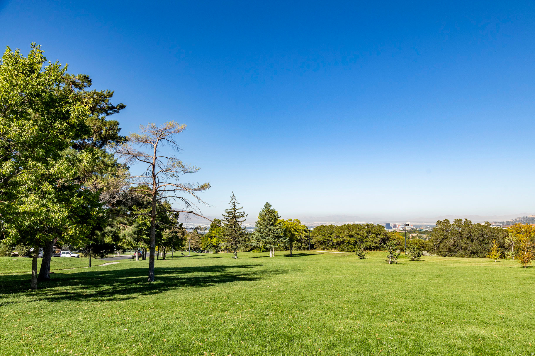 OAKWOOD GARDENS - Residential