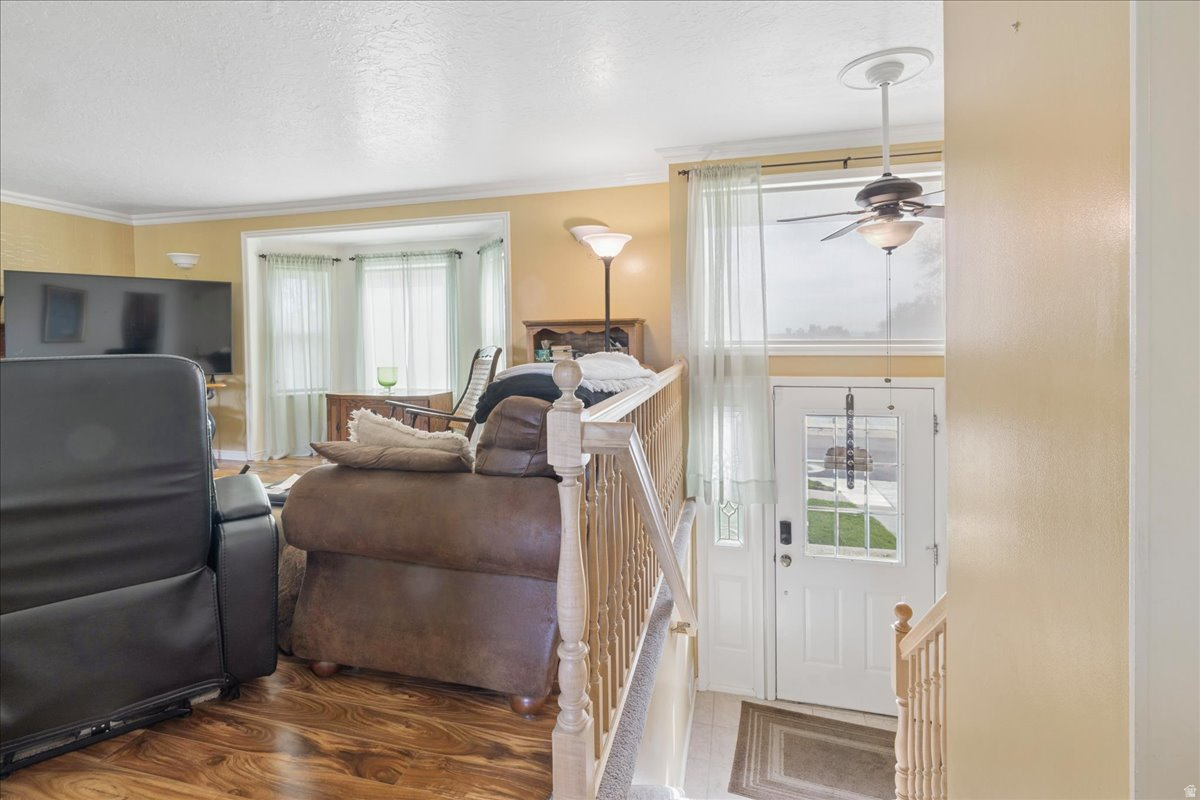 PARKDALE - Residential