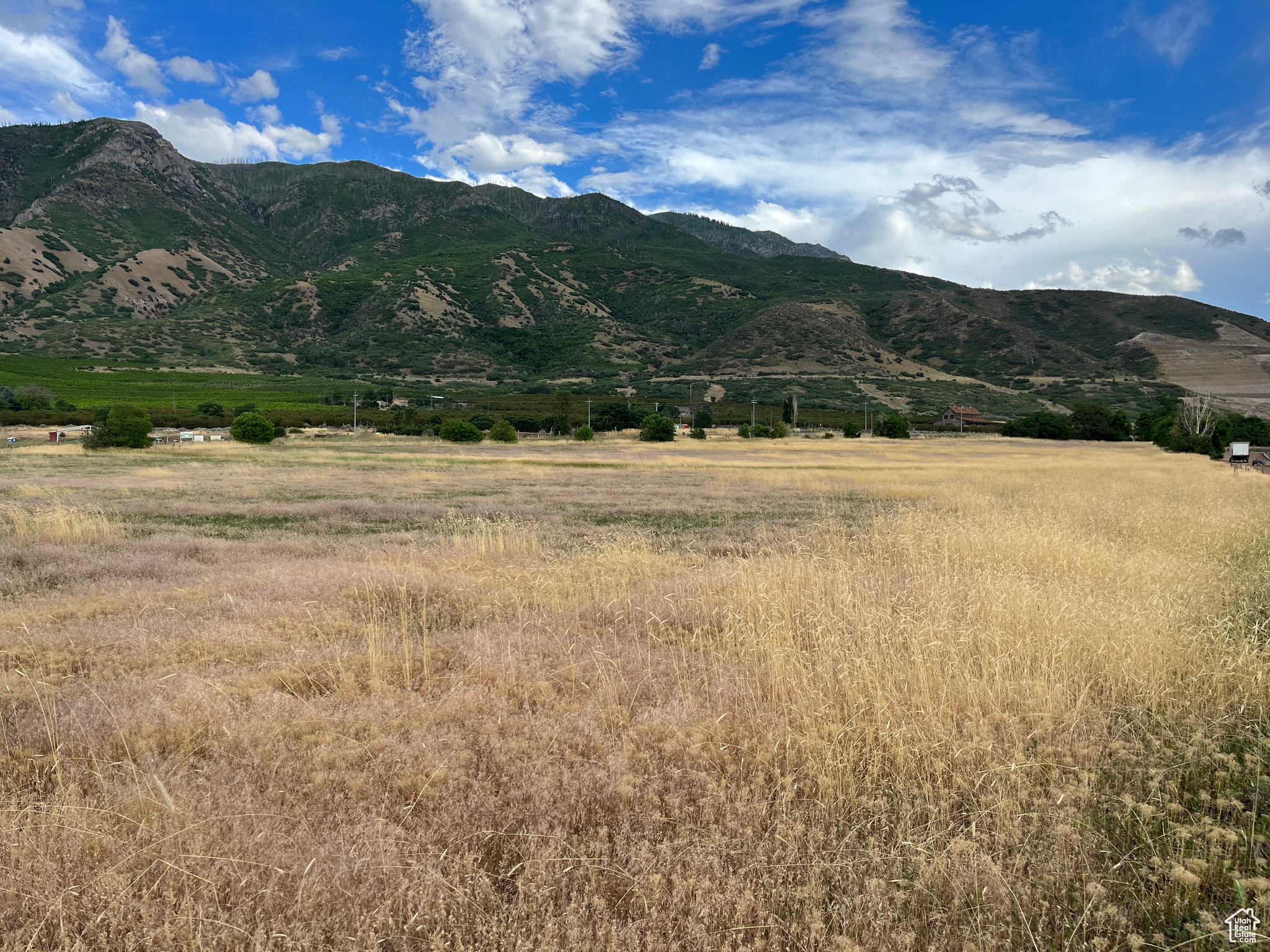 Land, Santaquin, Utah image 1