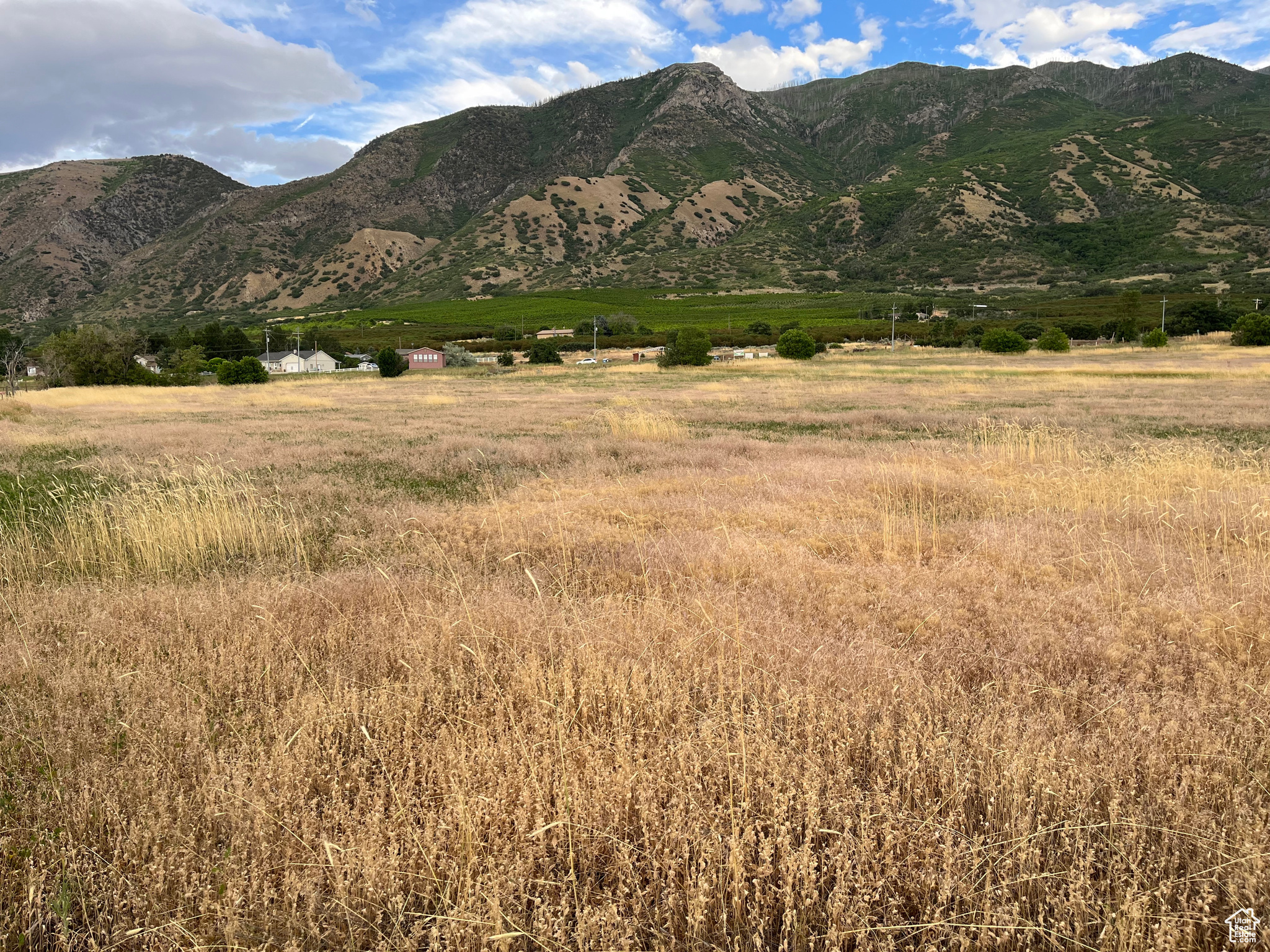 Land, Santaquin, Utah image 3