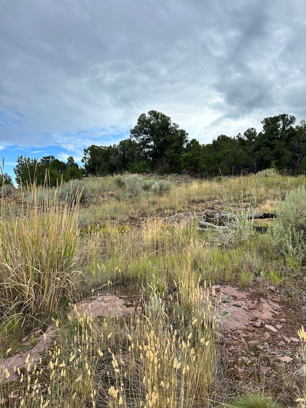 Photo of 102 KESTREL CIR #7, Dutch John, UT 84023 (MLS # 2145577)