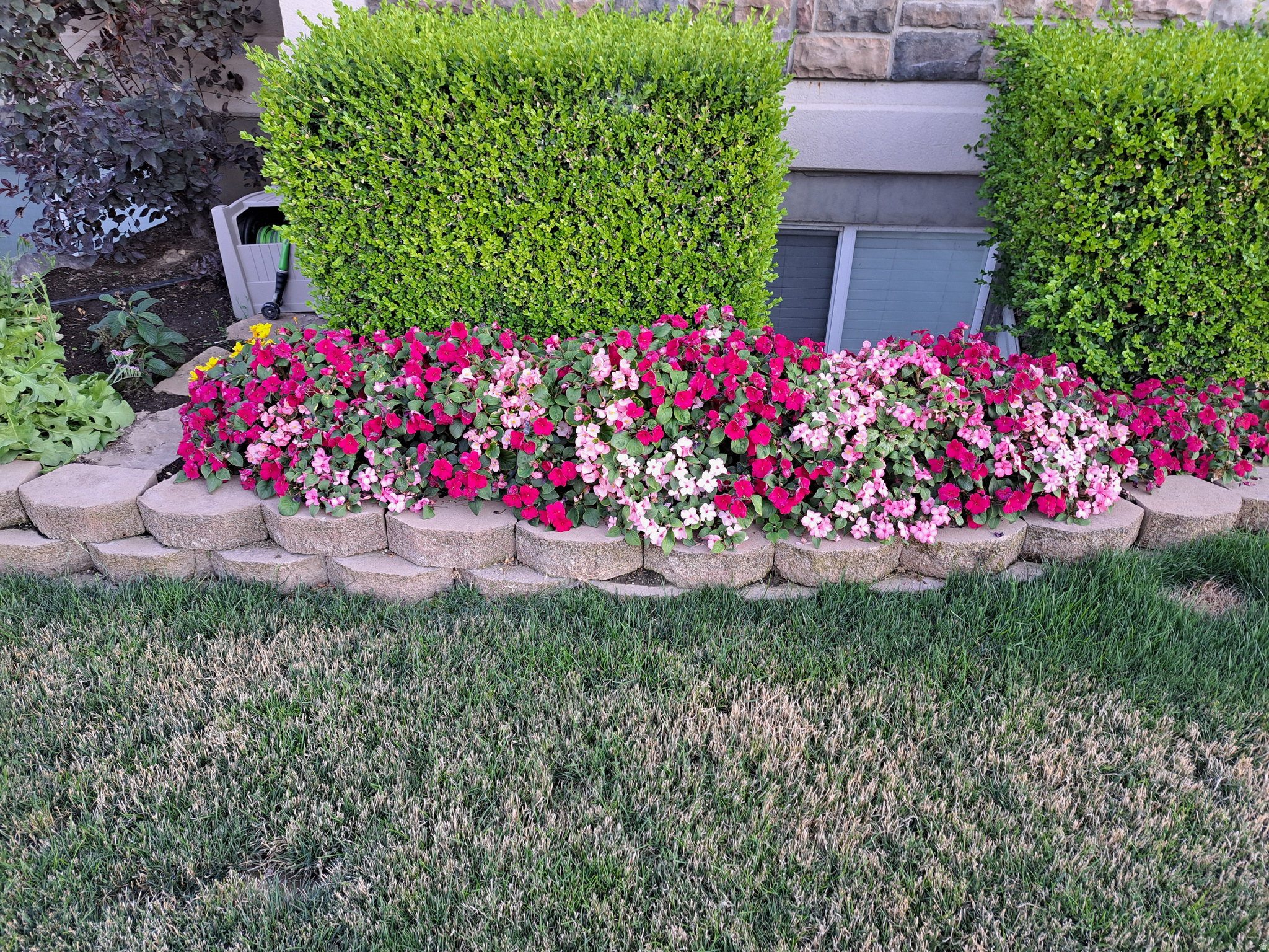 FOREST CREEK PHASE 3 - Residential