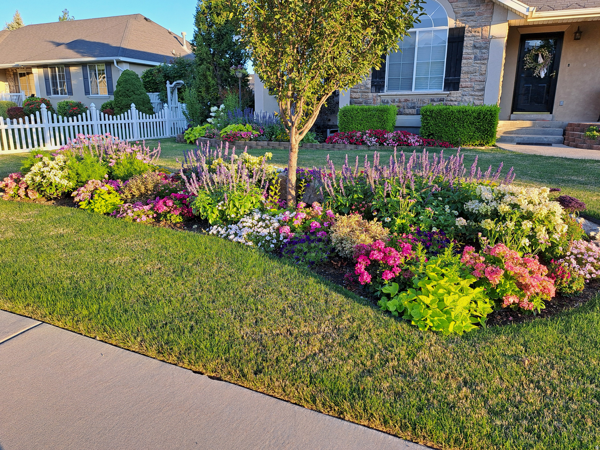 FOREST CREEK PHASE 3 - Residential