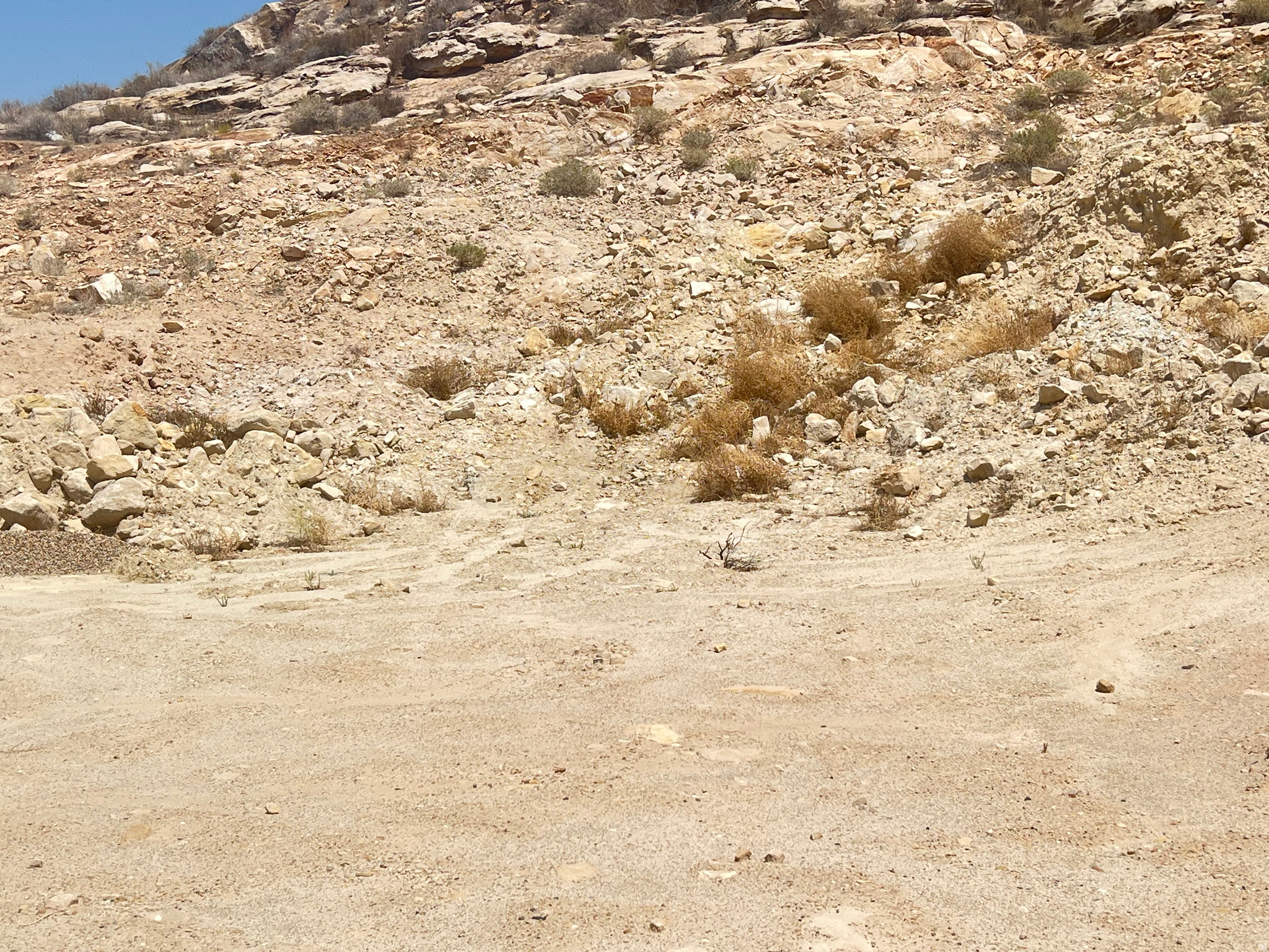 BOULDERS 4 AMD & EXT - Land