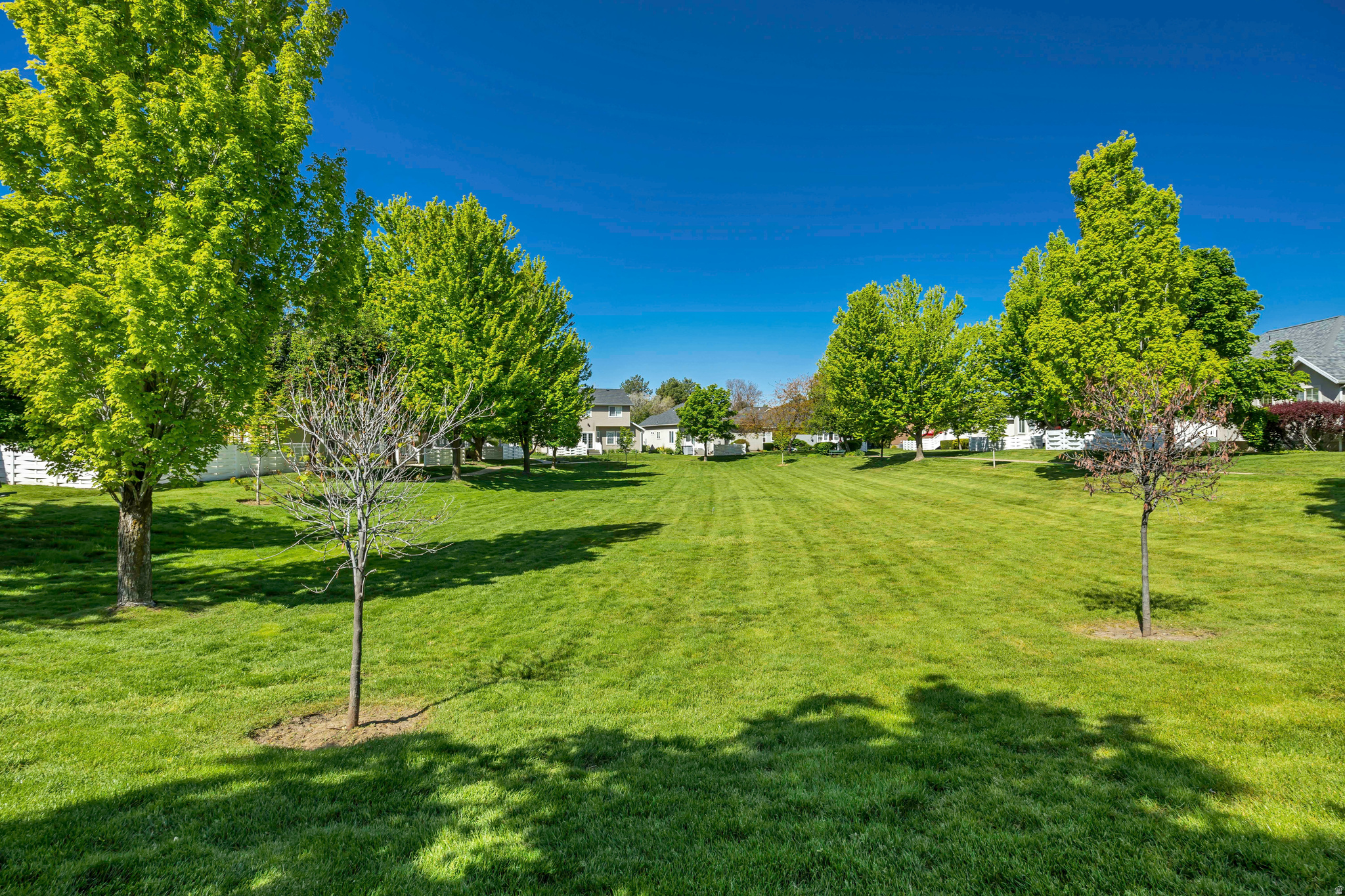 FAIRWAYS OF OAKRIDGE - Residential