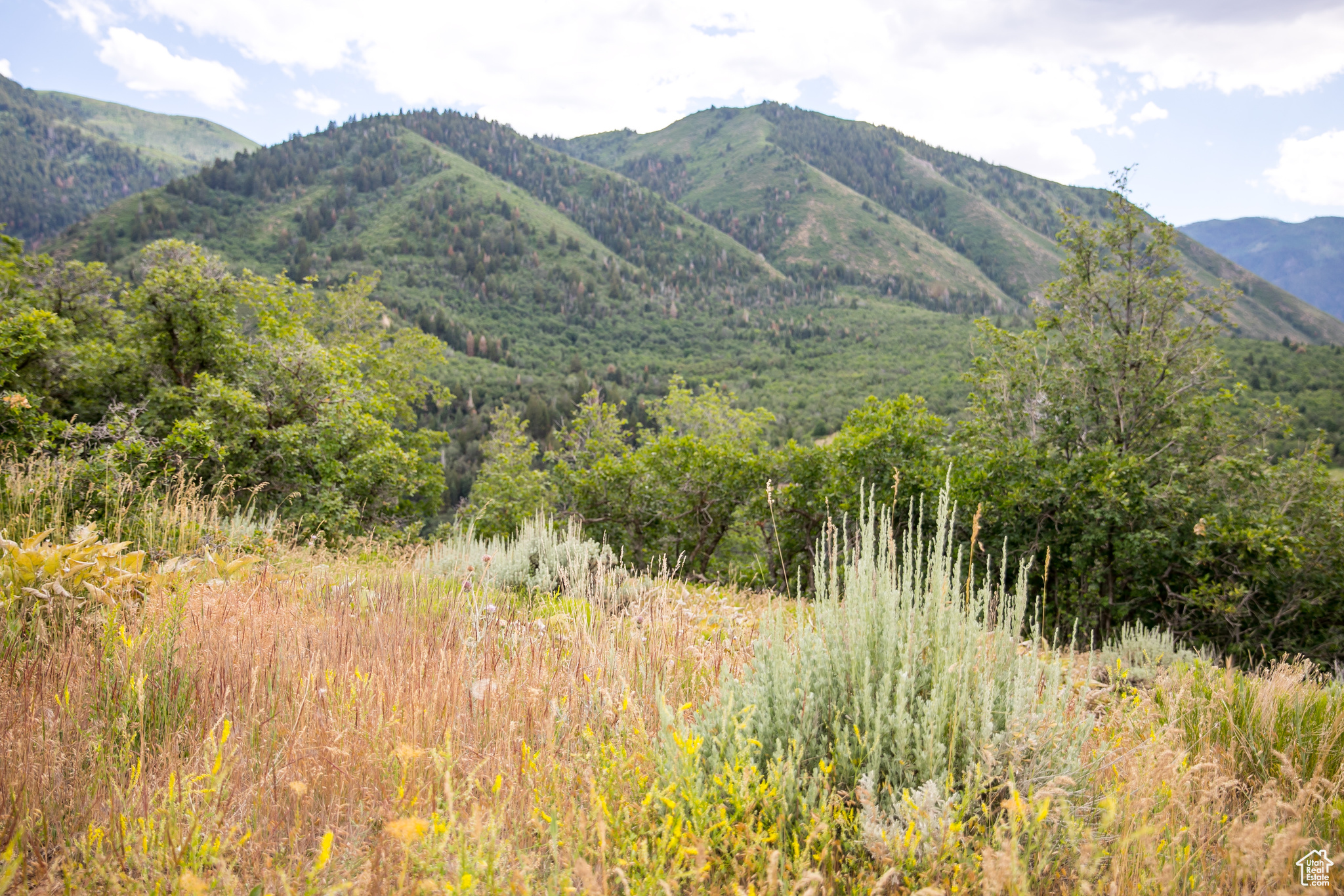 SUMMIT CREEK THE RETREAT - Land