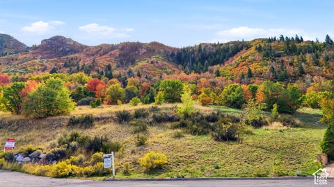 Vacant Land For Sale - 3738 E Catamount Rdg #11<br/> Sandy, UT 84092