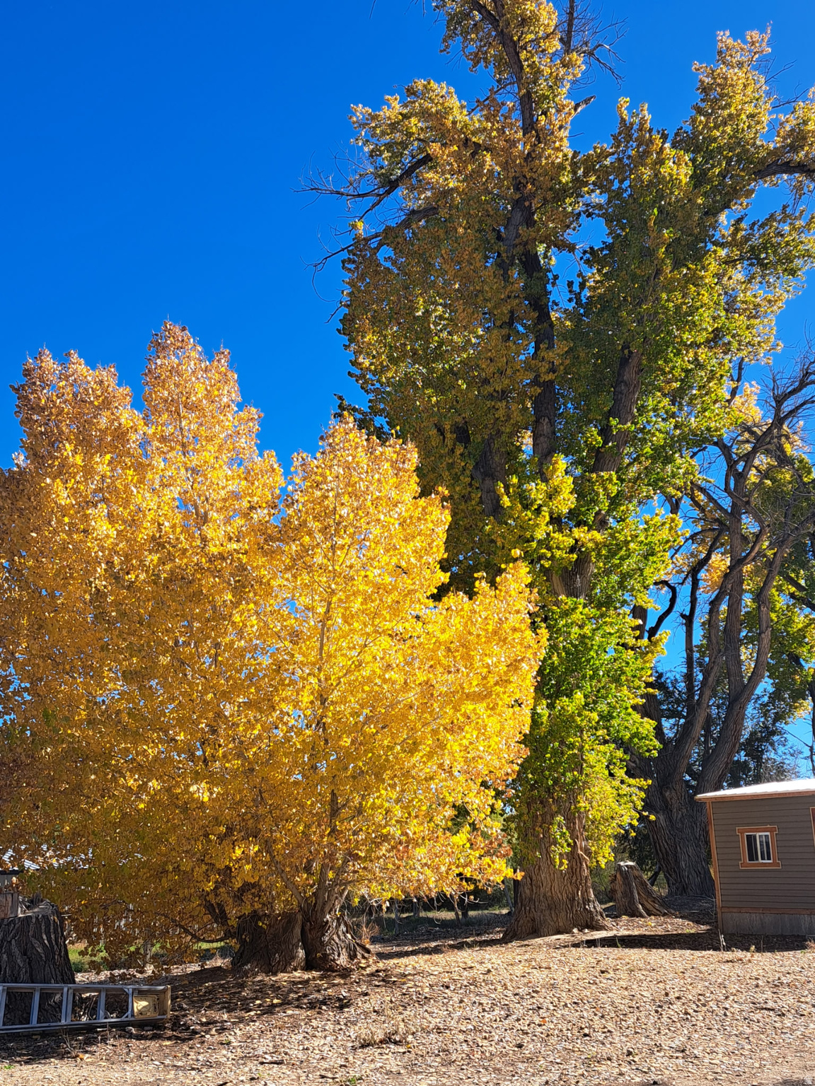 BEG. SUB - Residential