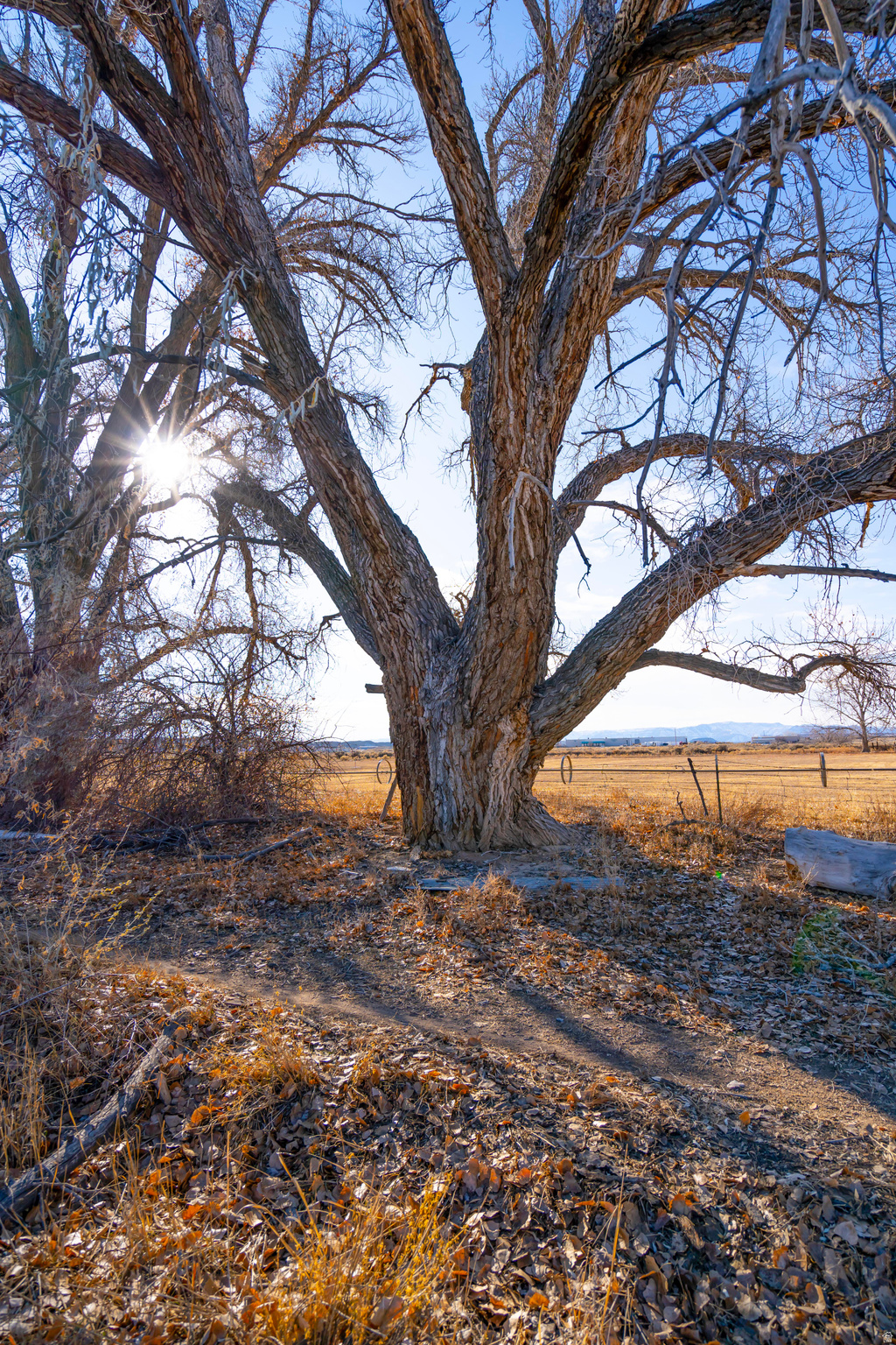 BEG. SUB - Residential