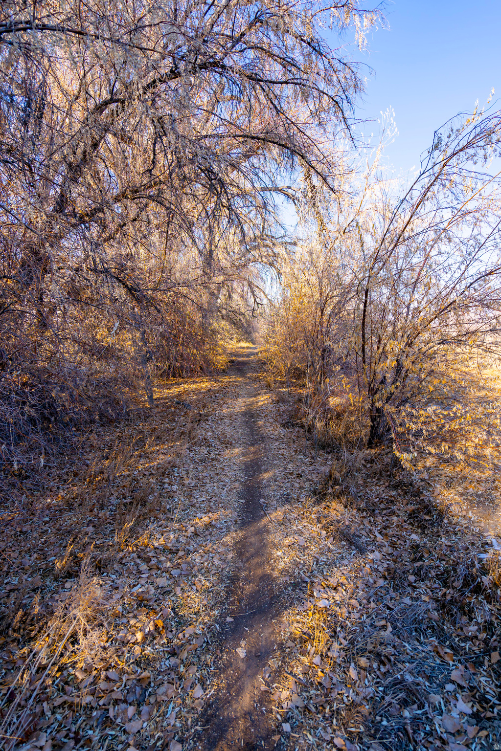 BEG. SUB - Residential