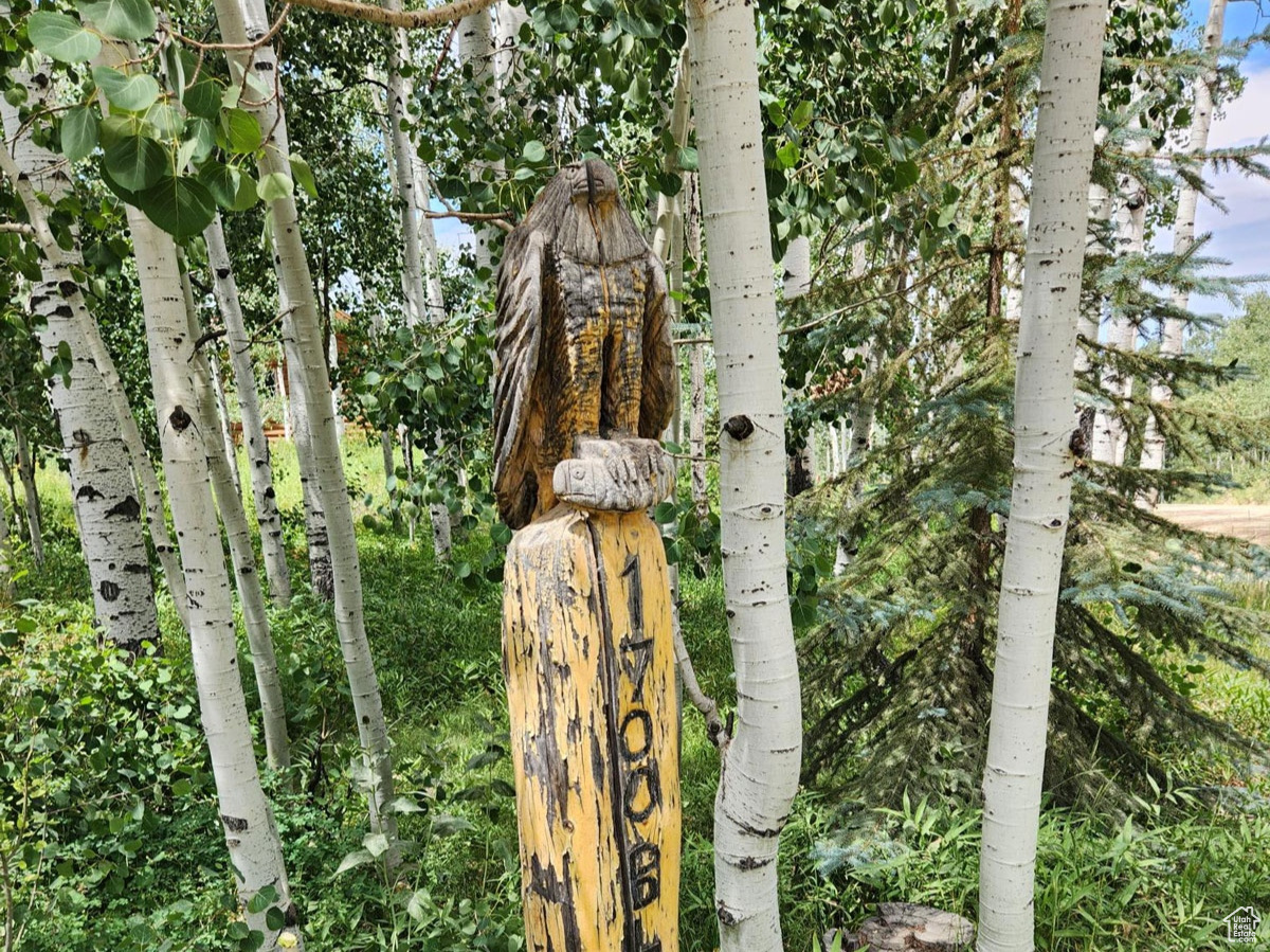 TIMBER LAKES - Residential