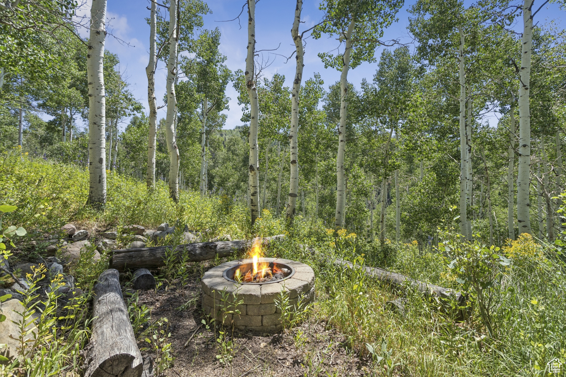 TIMBER LAKES - Residential