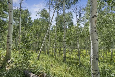 Tiny photo for 3526 S BLUE SPRUCE DR #1700, Heber City, UT 84032 (MLS # 2099606)