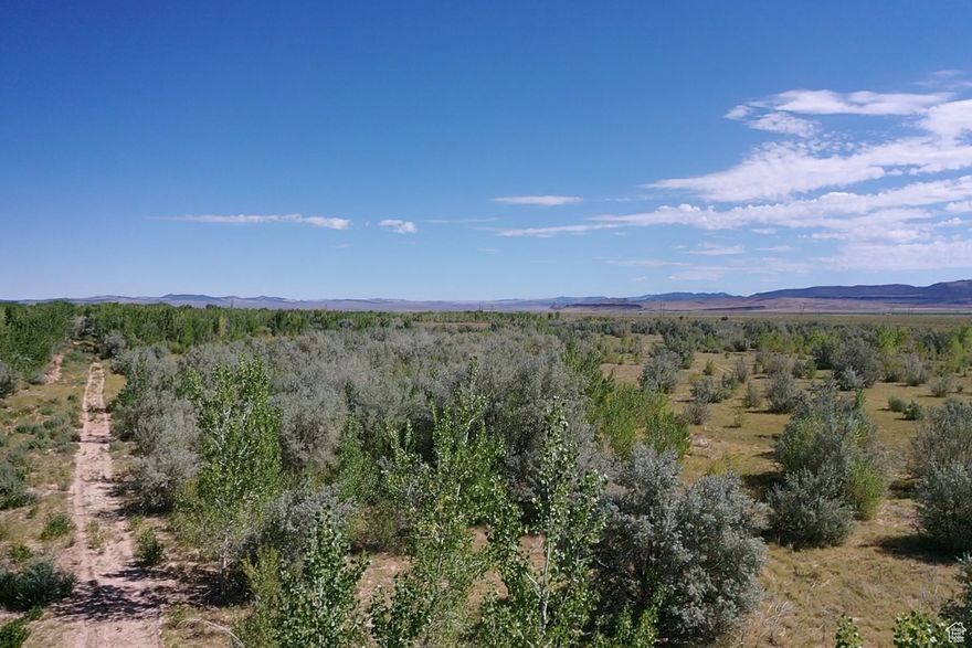 1 acre lot that is close to Sewer and the new belt route. This property has lots of cottonwoods and Russian Olive Trees. Water and power are at the Green Gate. Sewer is about 500 feet away. Flat and buildable lot with tons of privacy. NO HOA/CCR's. Behind a locked gate. (Cows are in the area). Seller financing available with $10,000 down. Terms negotiable. Lots of Deer, Turkeys and wildlife in the area. This would be an amazing investment as utilities will come this area.