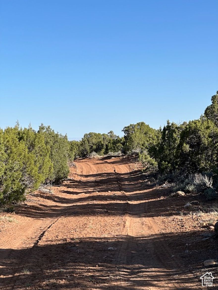 Land located close to Browns Reservoir. Ute Tribe Land boarders the North and West portions of the land. Tons of wildlife walk through the property throughout the year. No utilities on the property it would be a total off grid opportunity. Let's go take a look at this diamond in the rough. Owner/Agent owned.