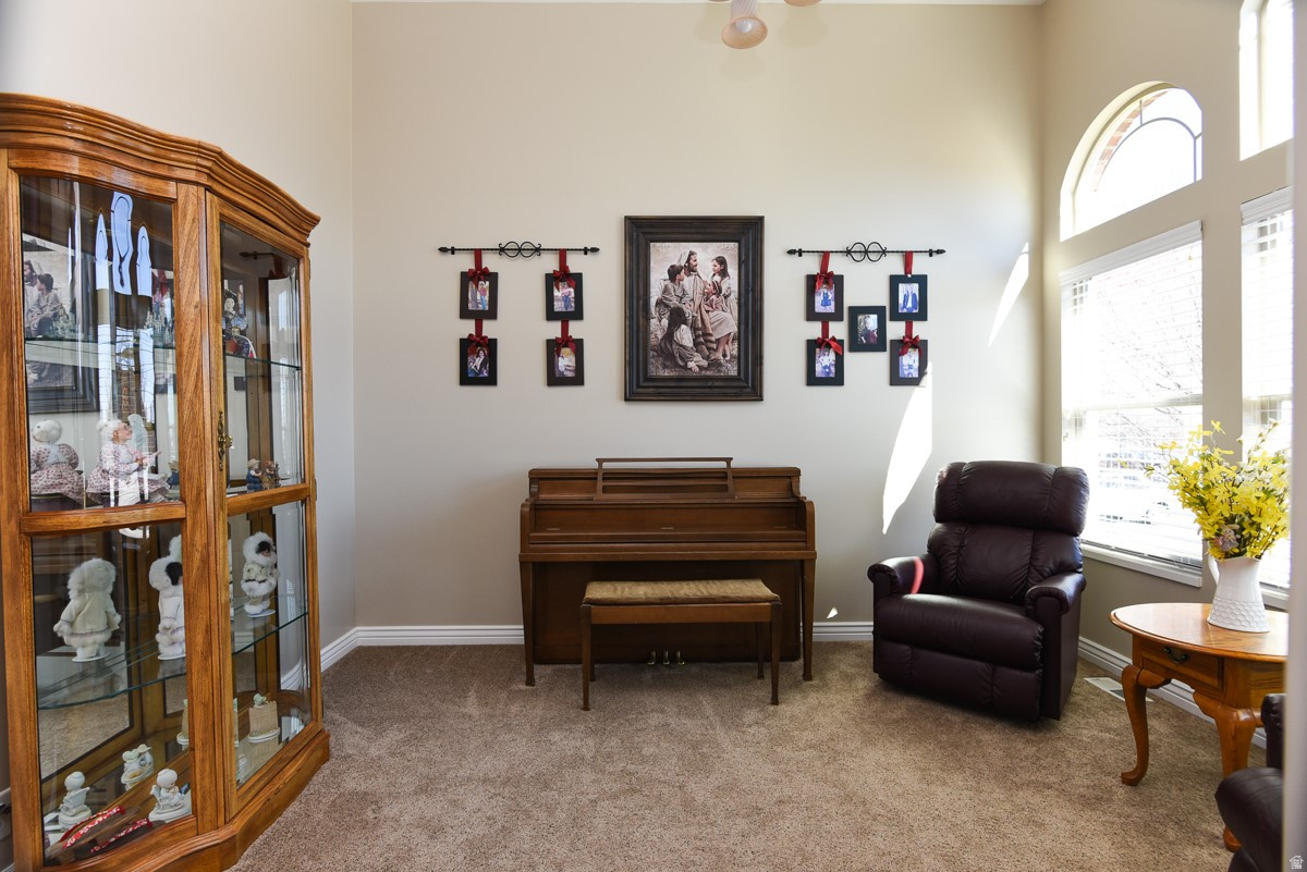 BLAKE MOUNTAIN VIEW EST - Residential