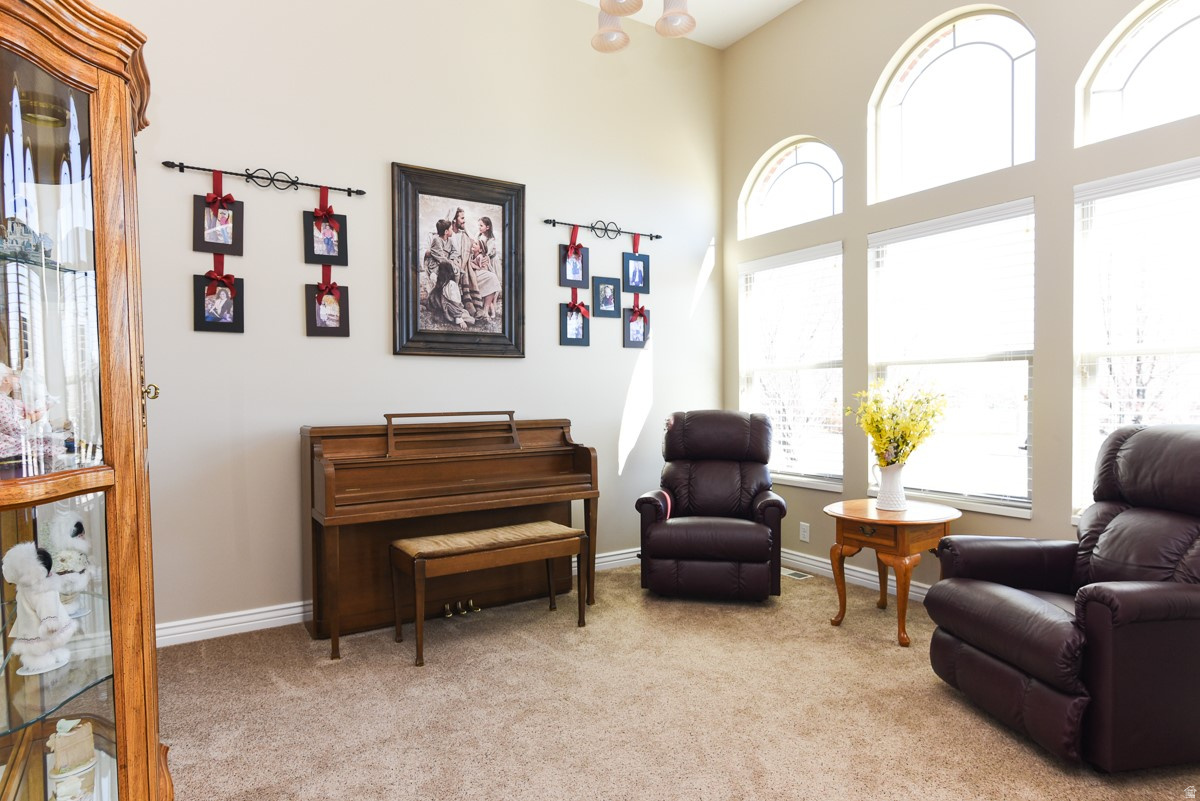 BLAKE MOUNTAIN VIEW EST - Residential