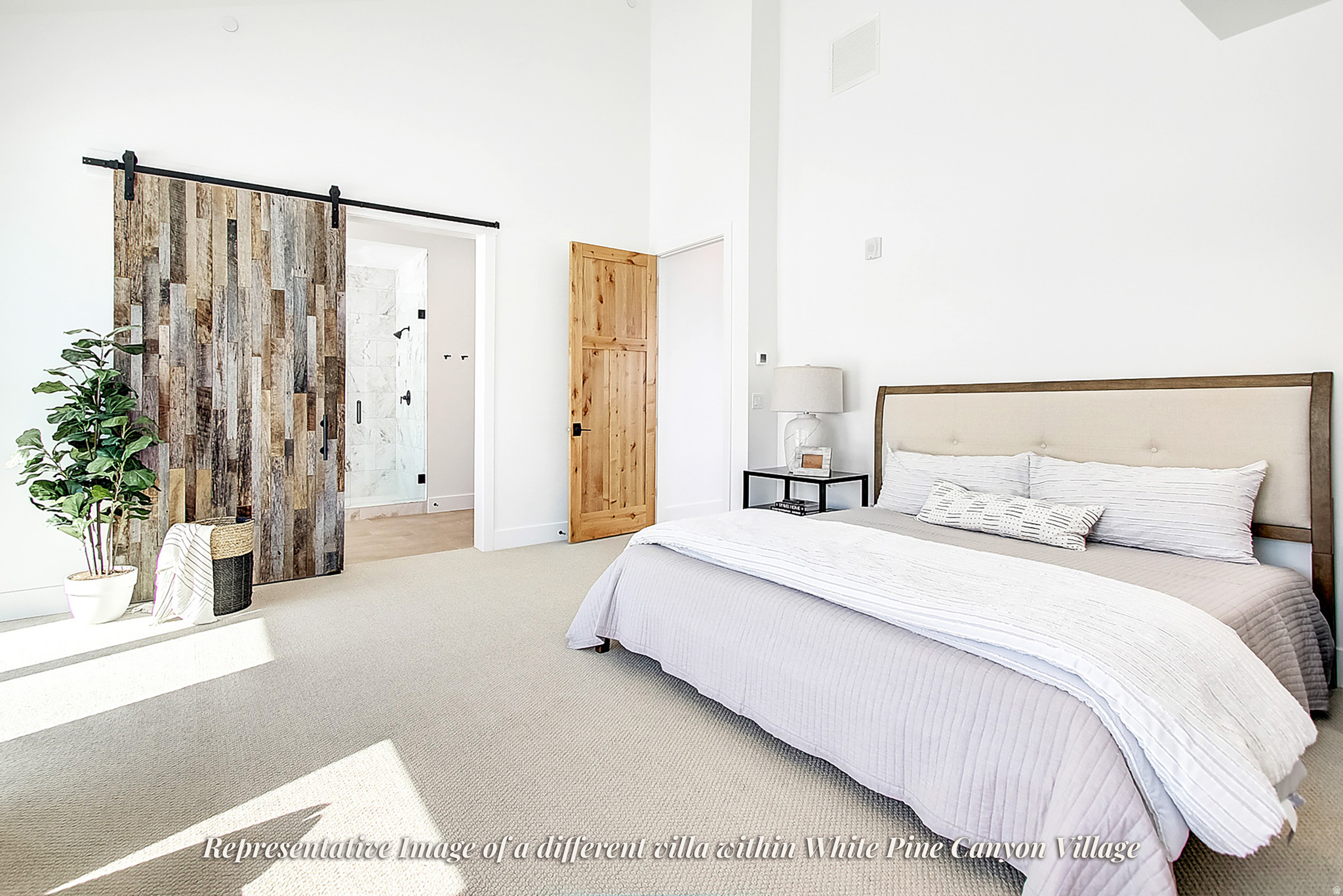 WHITE PINE CANYON VILLAGE - Residential