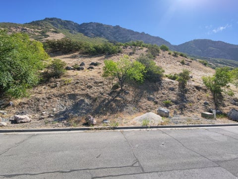 Vacant Land For Sale - 1414 N 1500 #44<br/> Provo, UT 84604