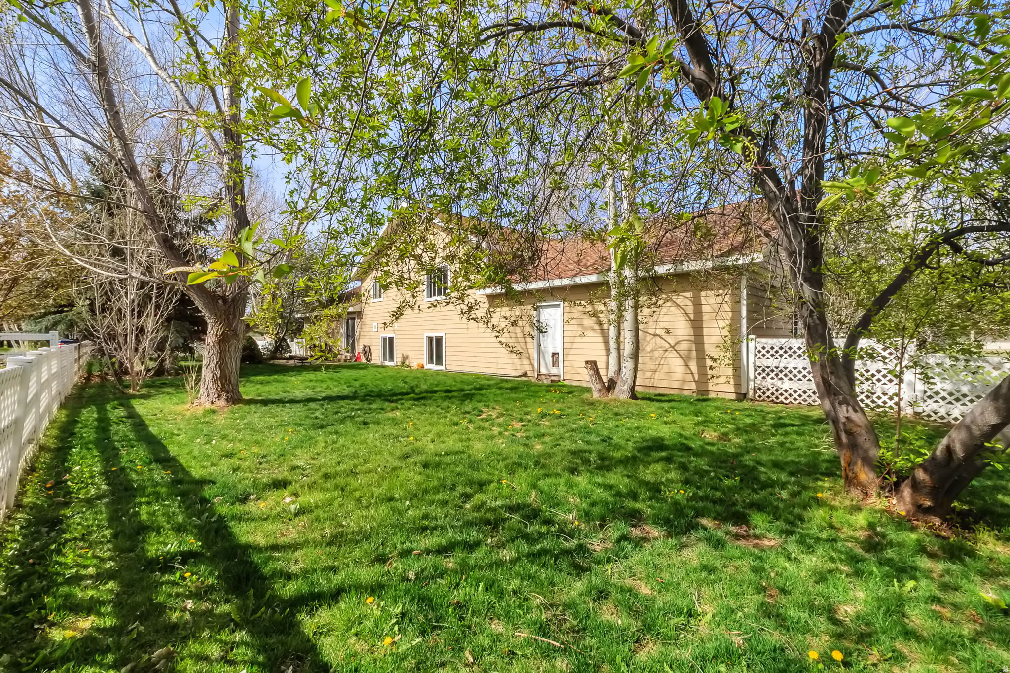 WILD WILLOW - Residential