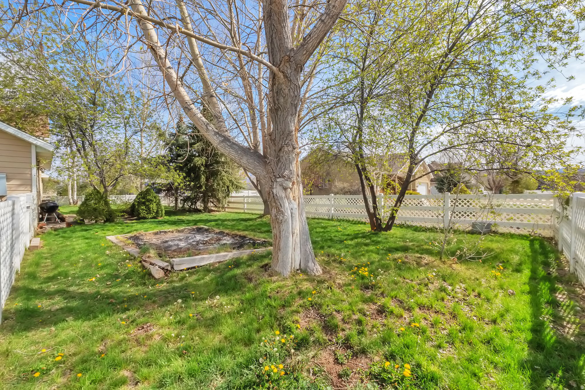 WILD WILLOW - Residential