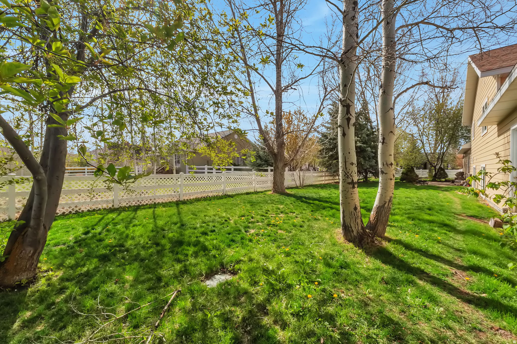 WILD WILLOW - Residential