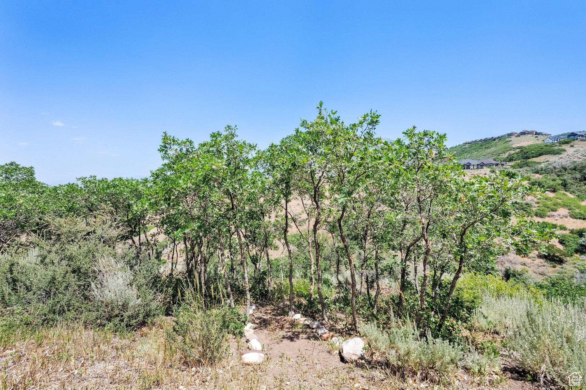 MONTANA VIEW ESTATES - Residential