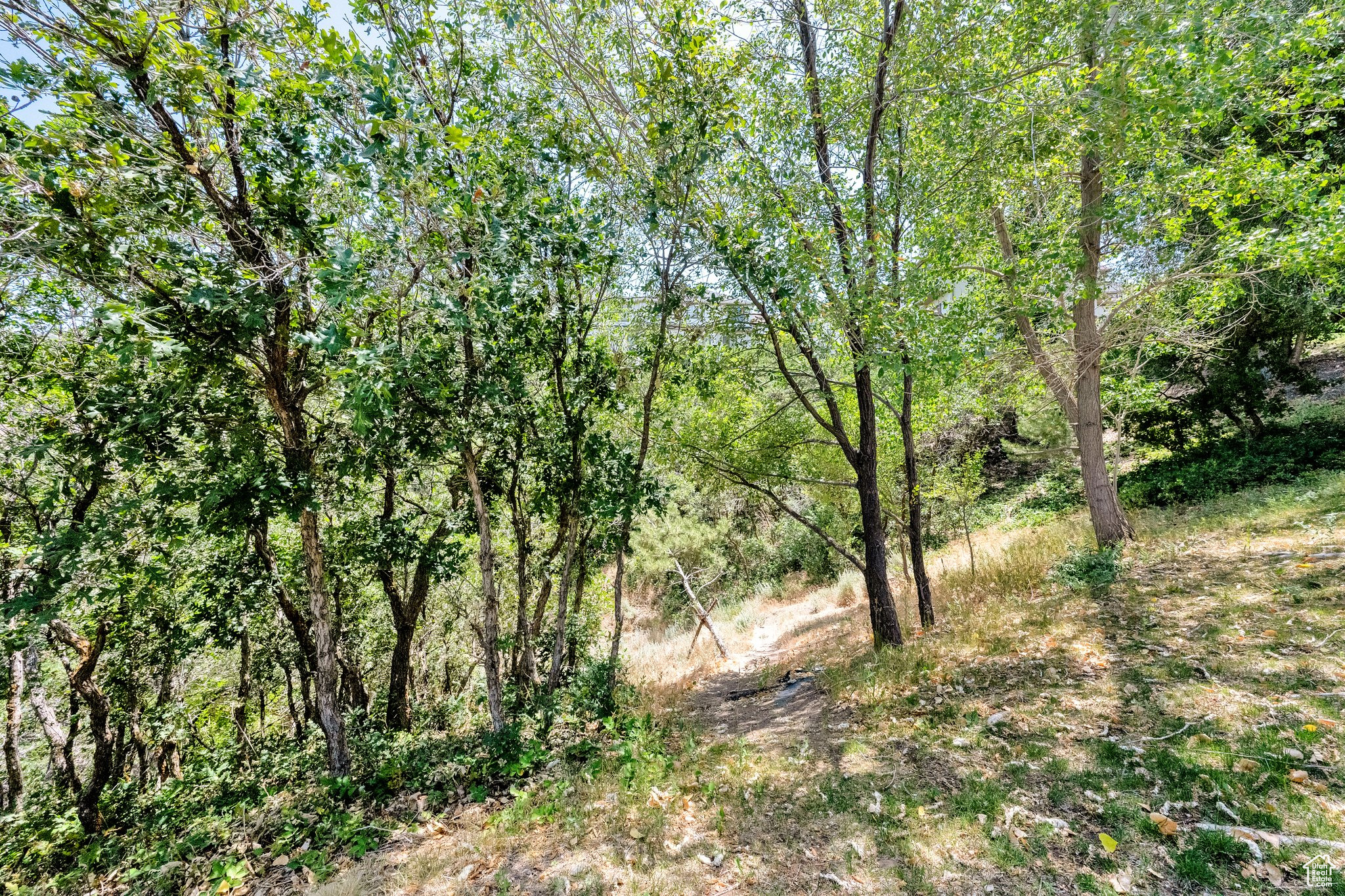 MONTANA VIEW ESTATES - Residential