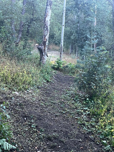 Tiny photo for 2412 TWIST DR, Midway, UT 84049 (MLS # 2181804)