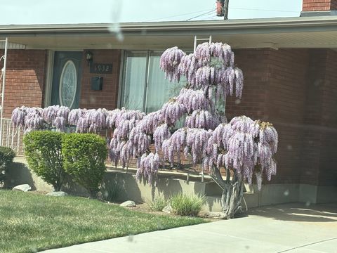 Tiny photo for 1932 W 4975 S, Roy, UT 84067 (MLS # 2165457)