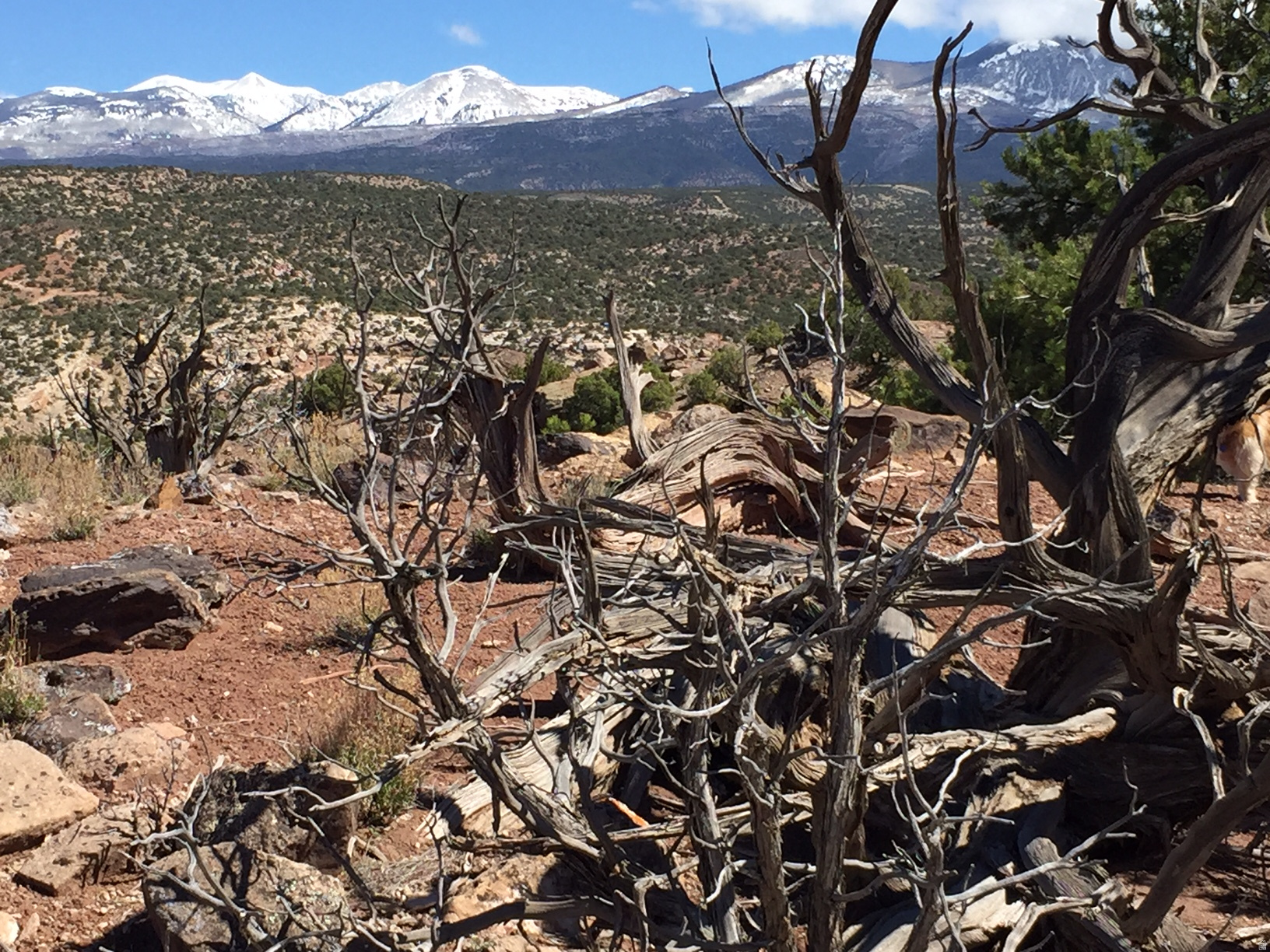 KANE CREEK CANYON ES - Land