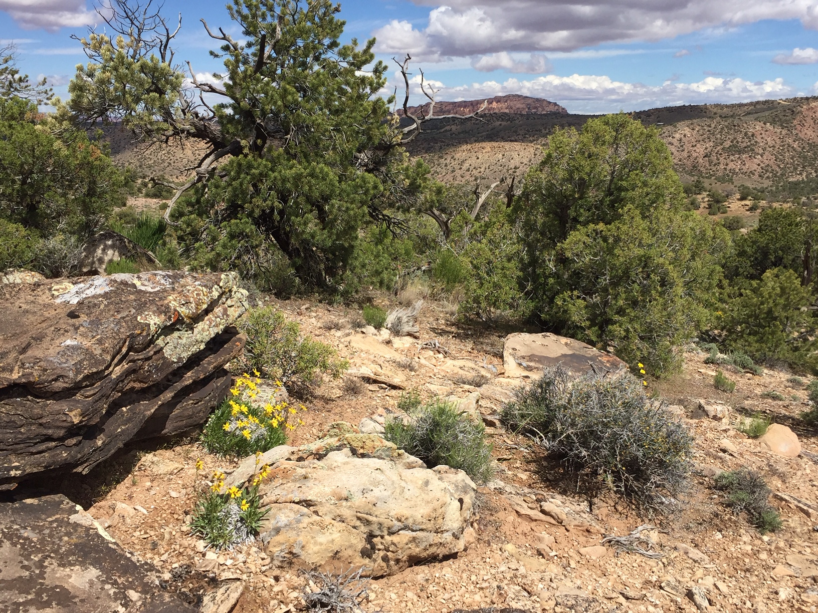 KANE CREEK CANYON ES - Land