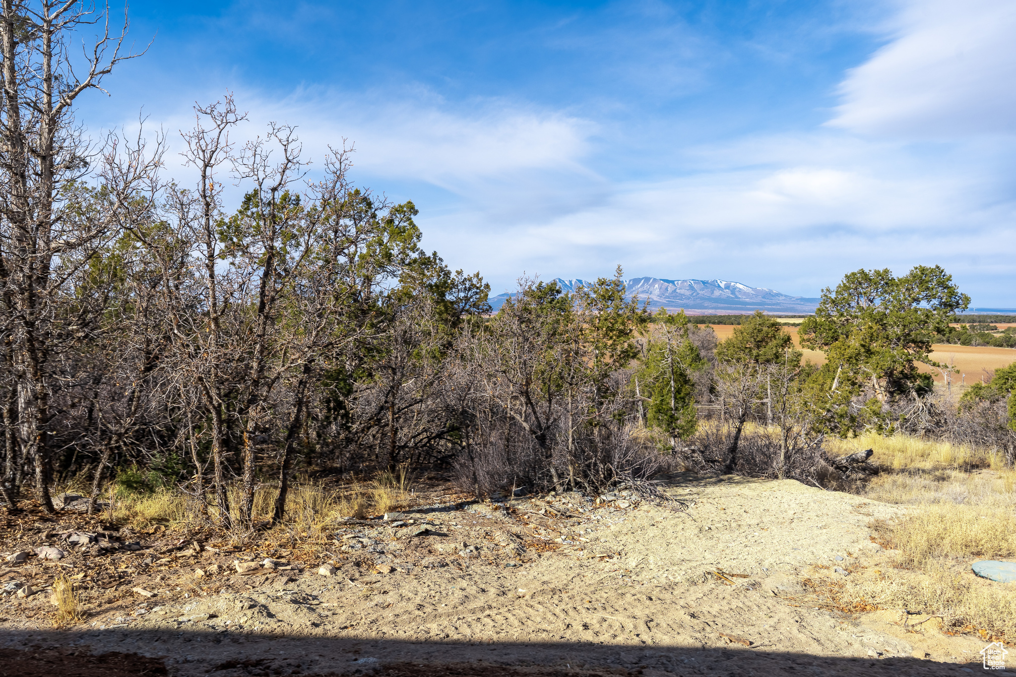 266 S Eastland Rd, Monticello, Utah image 21