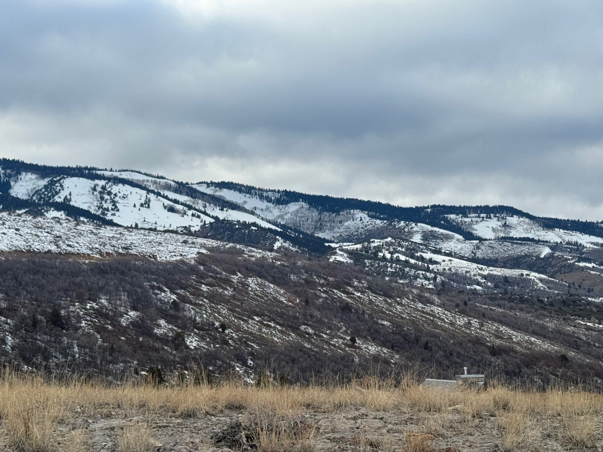 SWAN CREEK VILLAGE - Land