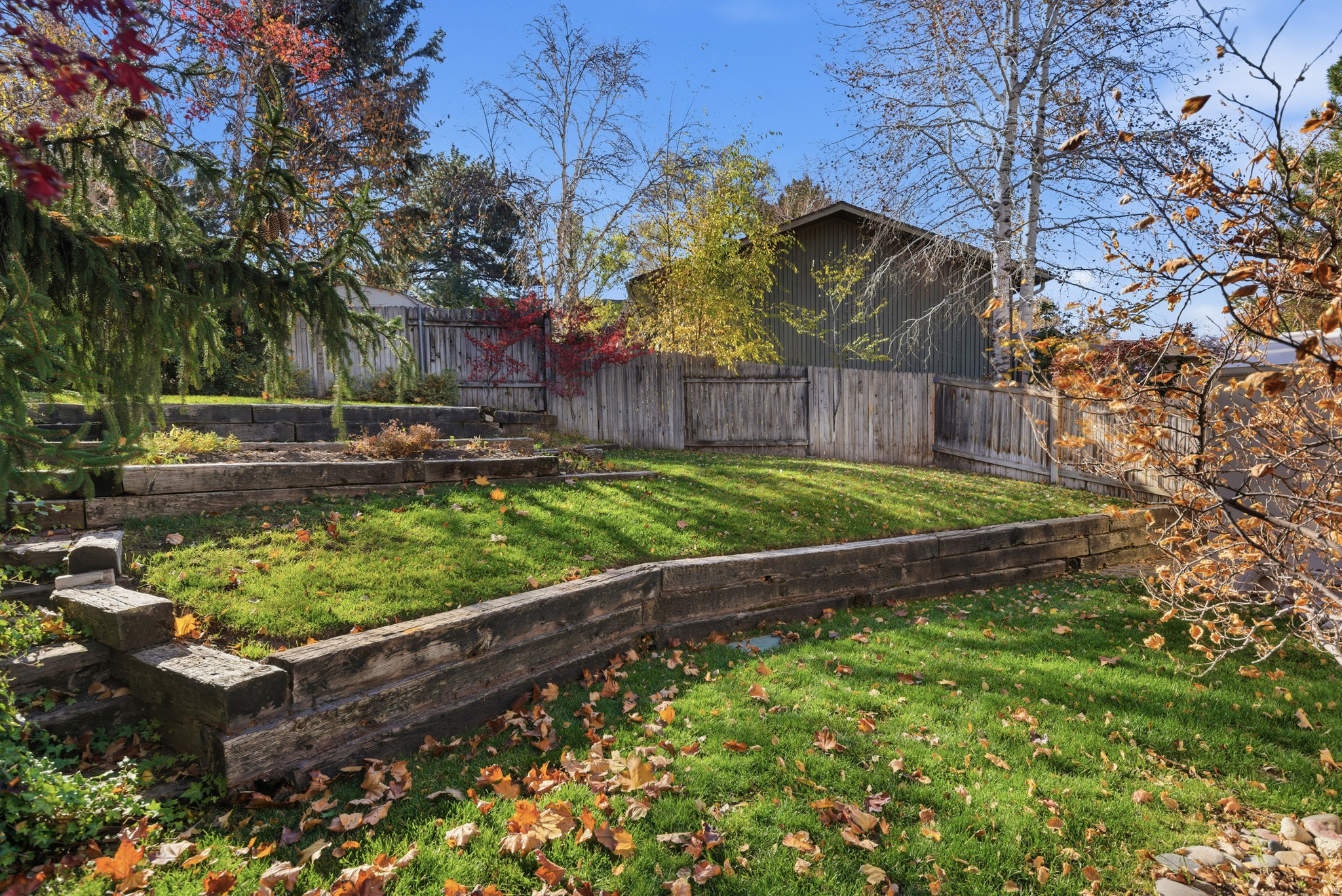 MEADOWS - Residential