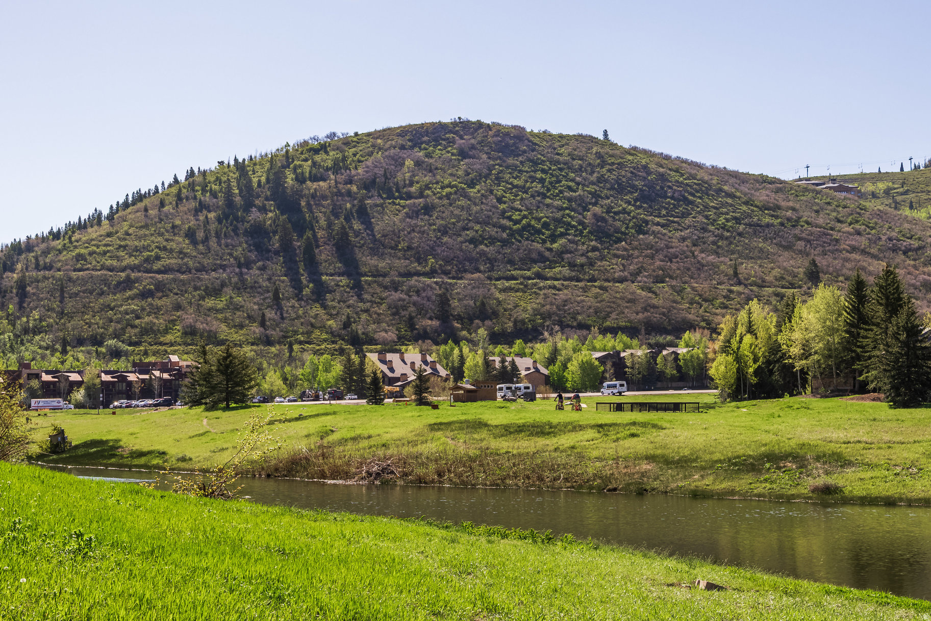 FAWNGROVE - Residential