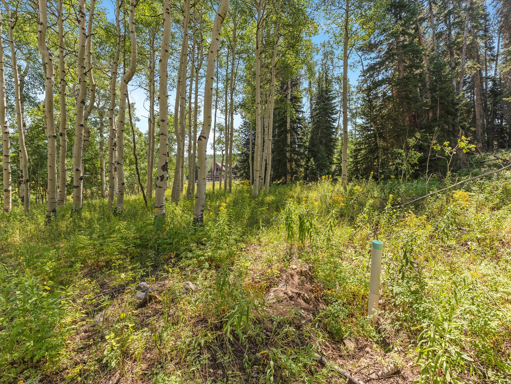 TIMBER LAKES PLAT 20 - Land