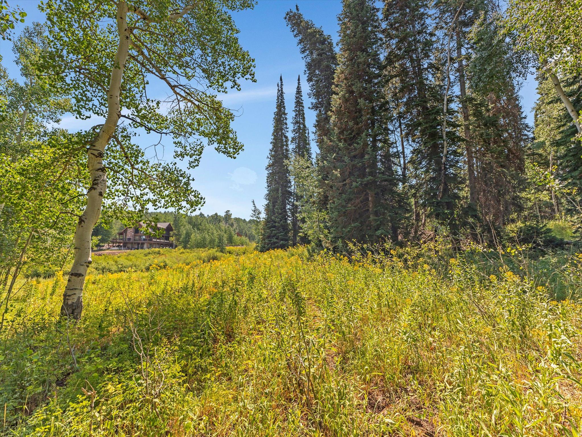 TIMBER LAKES PLAT 20 - Land