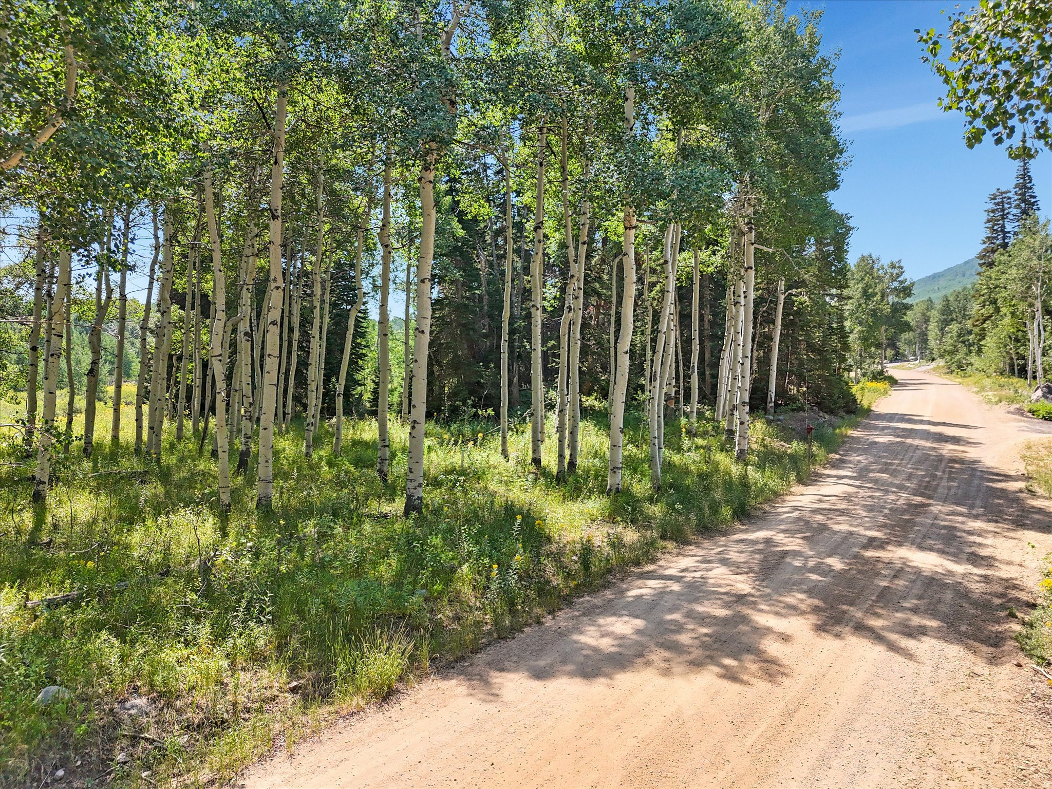 TIMBER LAKES PLAT 20 - Land