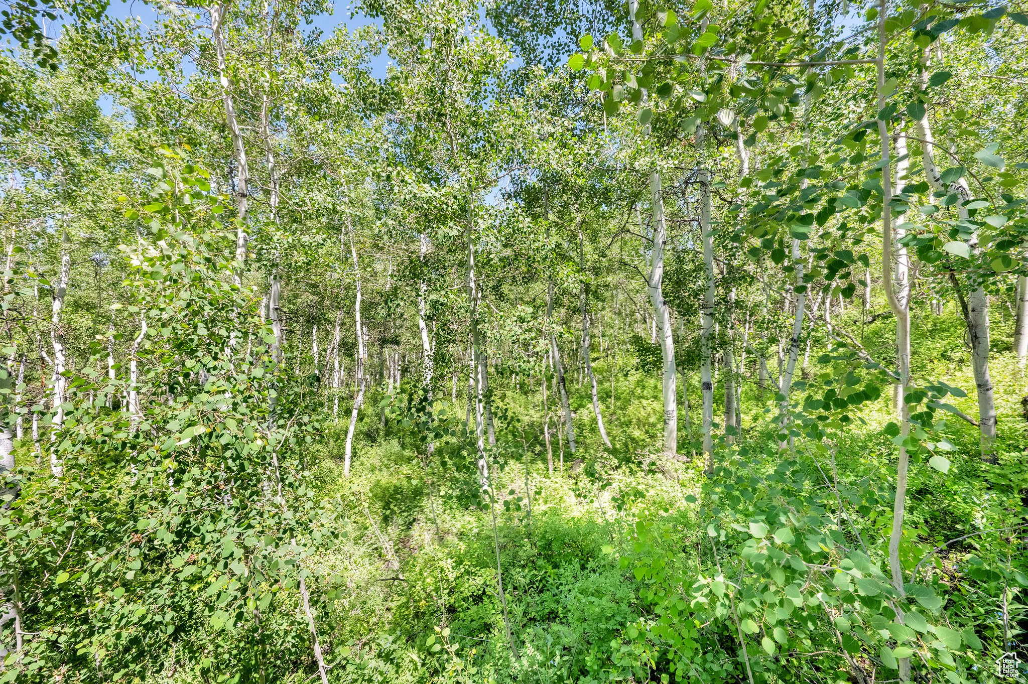 TIMBER LAKES - Residential